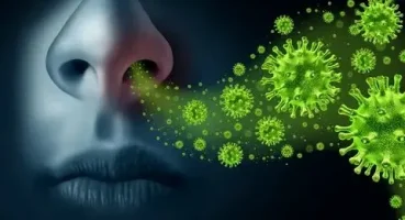 Grip Nedir (Influenza)
