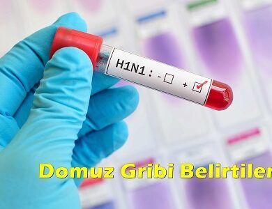 domuz gribi belirtileri