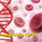 hemoglobin nedir