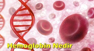 Hemoglobin Nedir