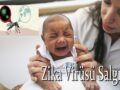 Zika Virüsü Salgını