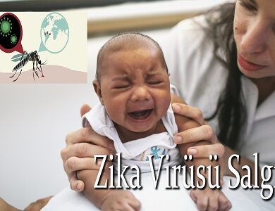 Zika Virüsü Salgını