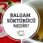 balgam söktürücü nedir