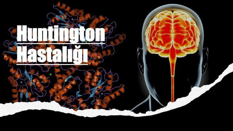 Huntington Hastalığı