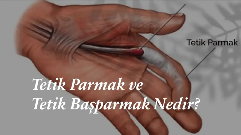 Tetik Parmak ve Tetik Başparmak Nedir