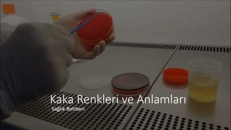 Kaka Renkleri ve Anlamları
