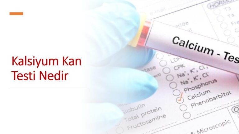 kalsiyum kan testi nedir