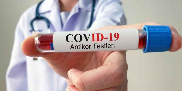 antikor testi nedir